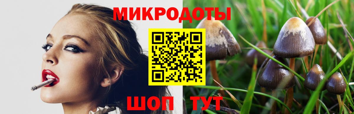 Санкт-Петербург  Галлюциногенные грибы Magic Shrooms  Вход с VPN  Галлюциногенные грибы Psilocybe 