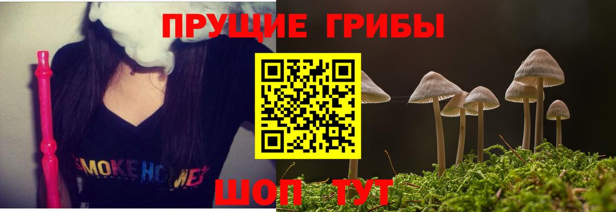 Галлюциногенные грибы ЛСД Санкт-Петербург